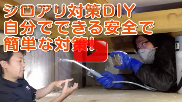 シロアリ対策DIY、自分でできる安全で簡単な対策